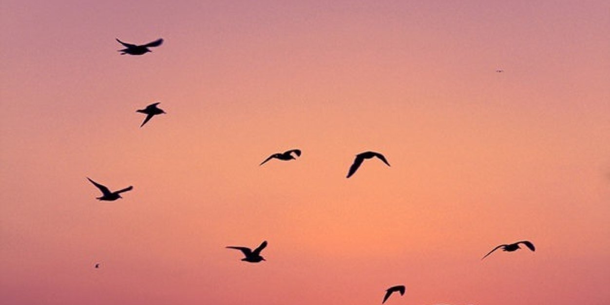 lindawesterberg's profile banner image