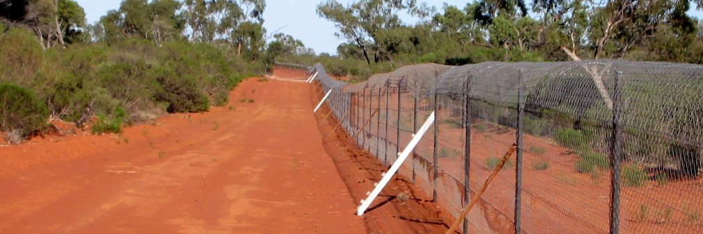 Save The Bilby Fund banner