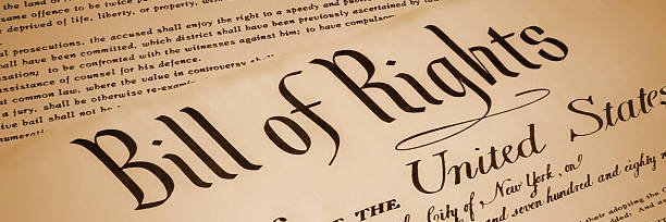 SAVE OUR DEMOCRACY 🇺🇸 SAVE 🌎🦋🐝🦉🦍🦊🐘 banner