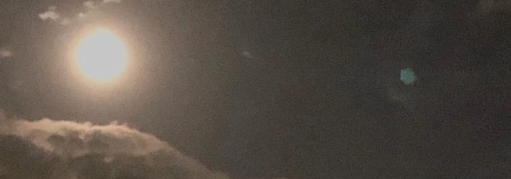 berkcans's profile banner image