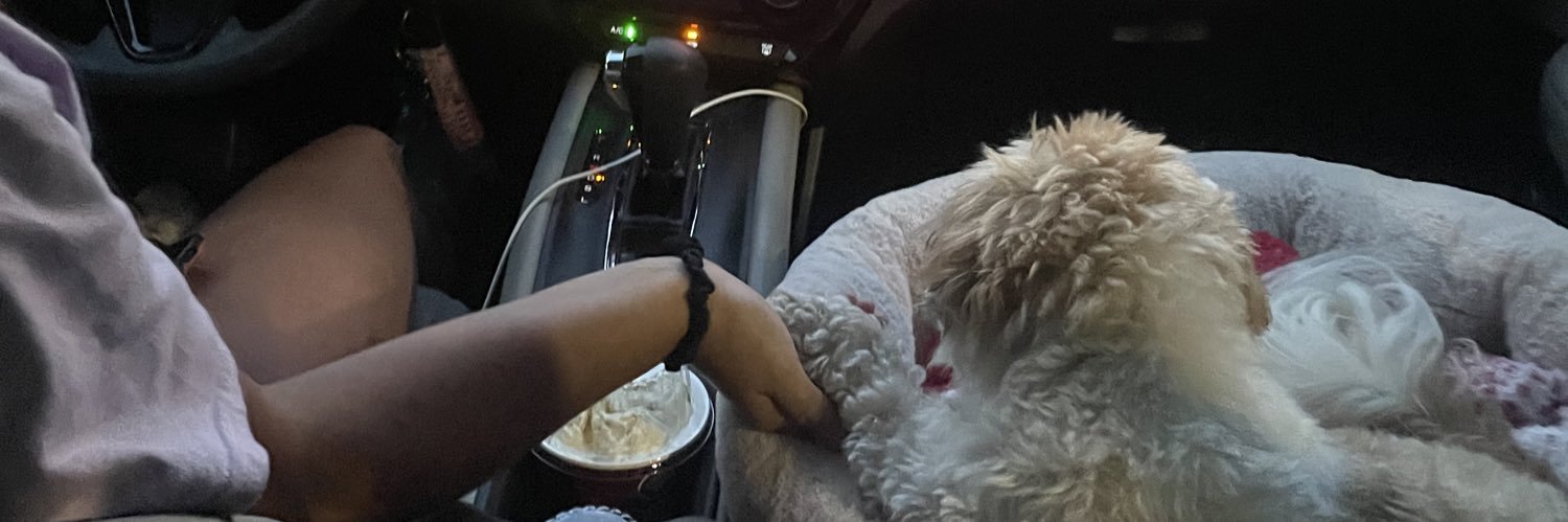 shlyndz's profile banner image