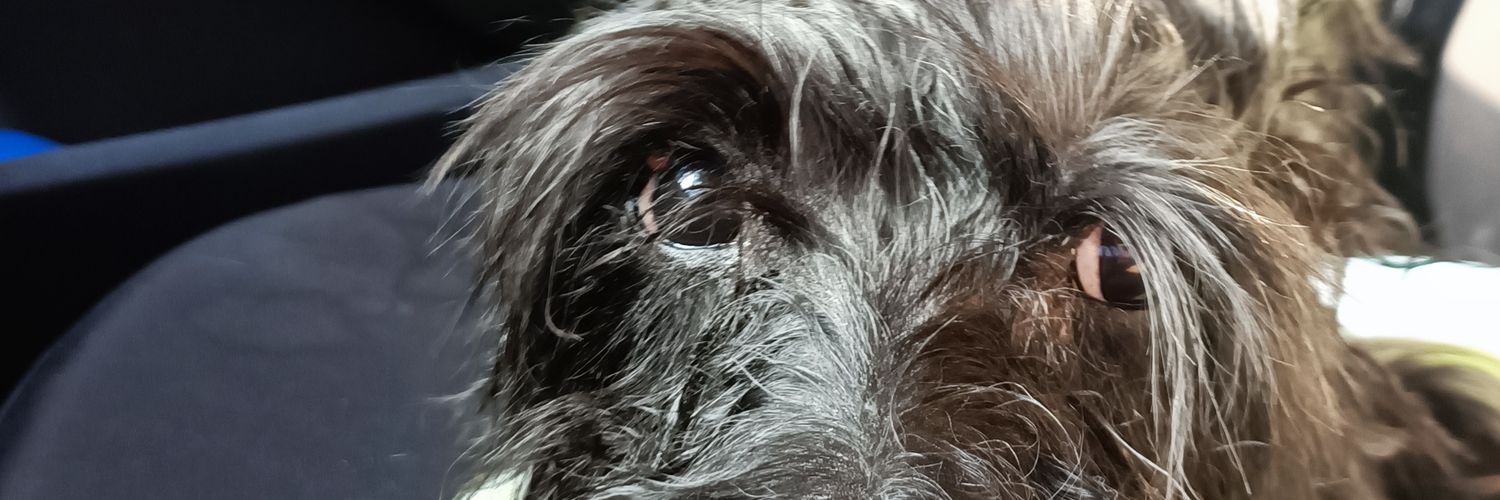 TheAnalystGt's profile banner image