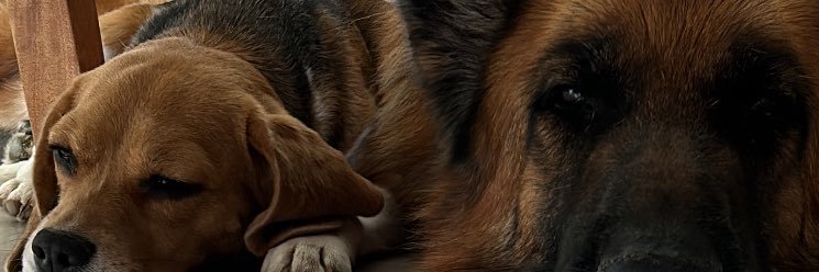 aaaaaugusto's profile banner image