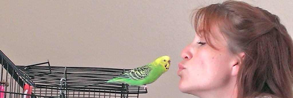 SweetSamiKlein's profile banner image