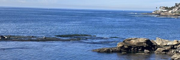 ccarrington_ Profile Banner