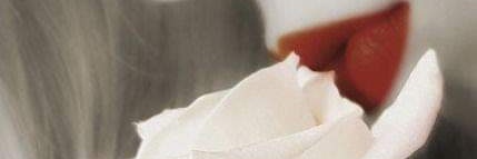 LicRosyTorresS's profile banner image