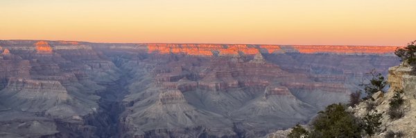 sharpalacios Profile Banner