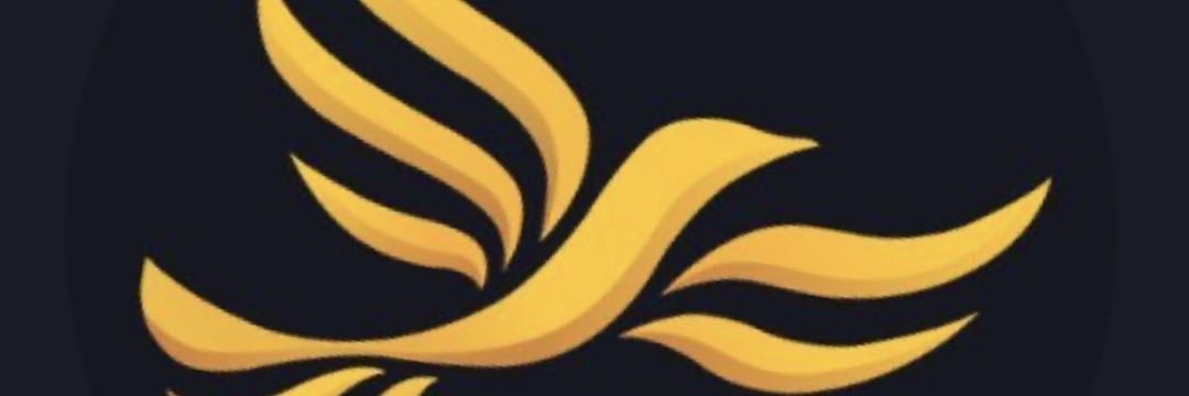 Lib Dem banner