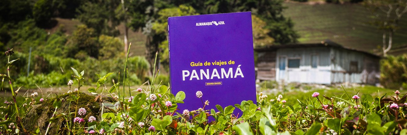 AlmanaqueAzul's profile banner image