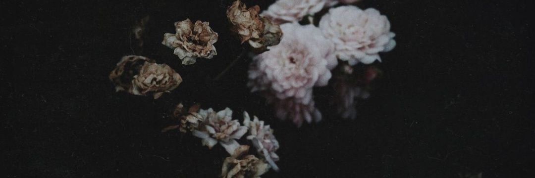 a_paranoic's profile banner image