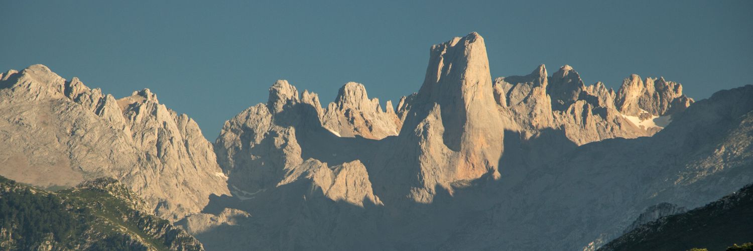 Radical euphemism banner