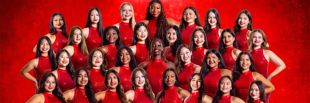 AHSAngels's profile banner image