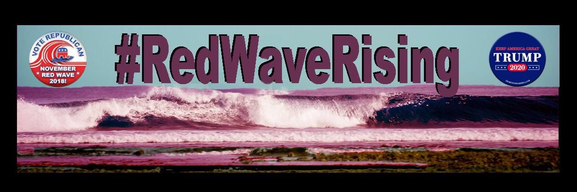 Steve Rye banner