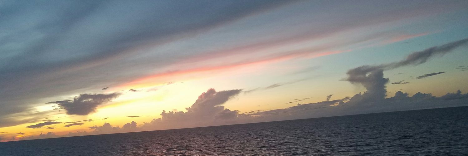 Trice1211's profile banner image