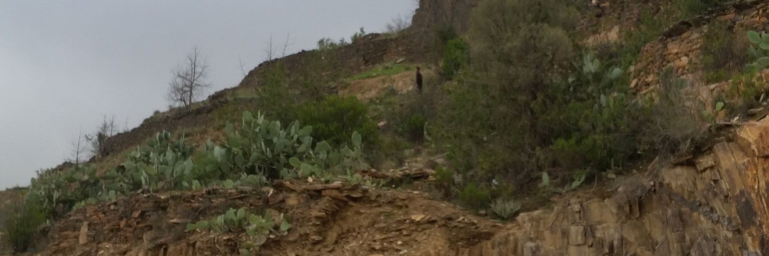 alimz0100's profile banner image