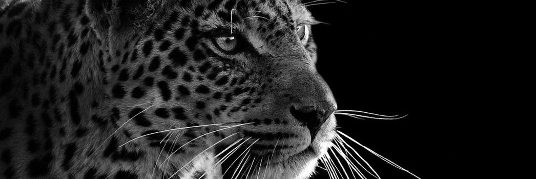 _nickmugambi's profile banner image