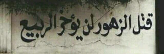 imi_dz_97's profile banner image