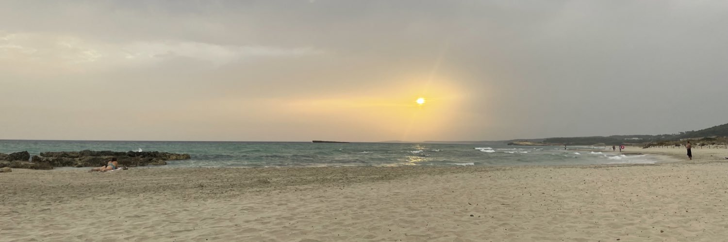bertopicon's profile banner image