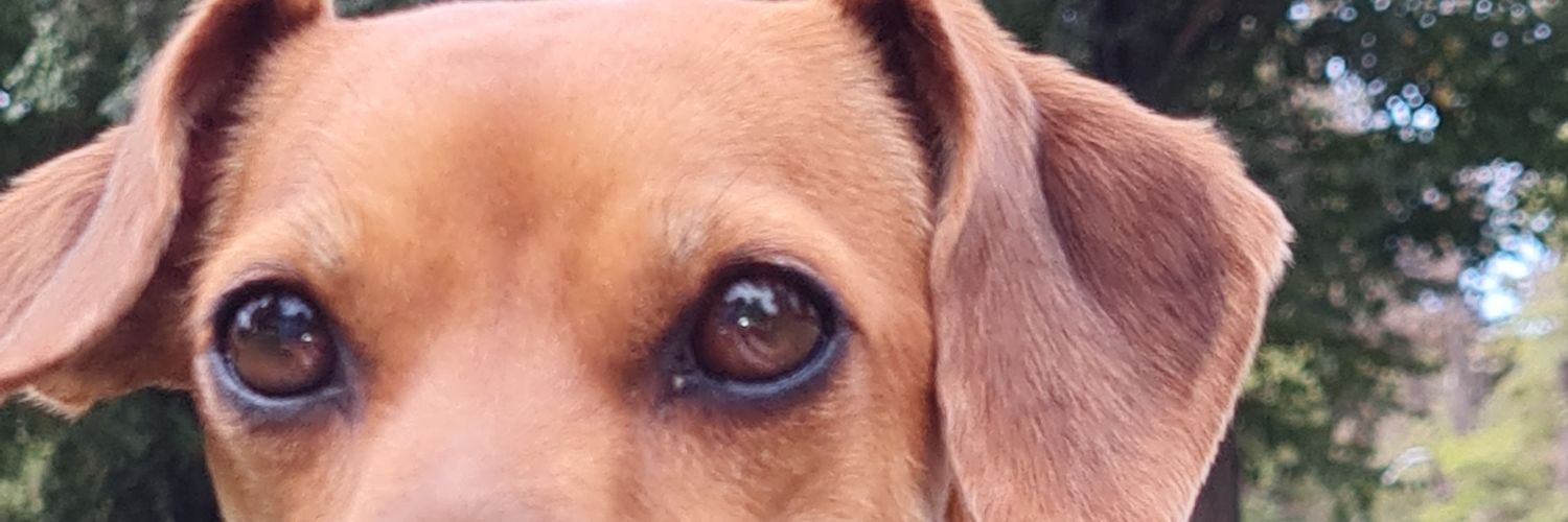 MKmacaMK's profile banner image