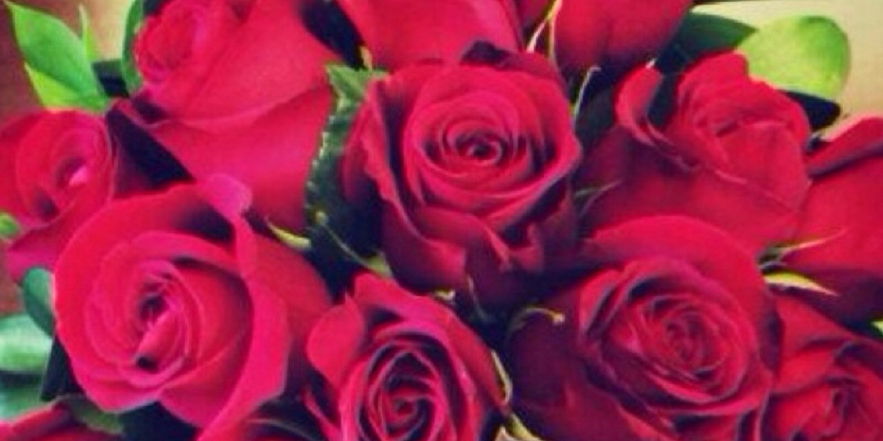 Erlnaa_'s profile banner image