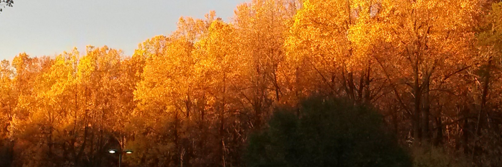 five_times_fast's profile banner image