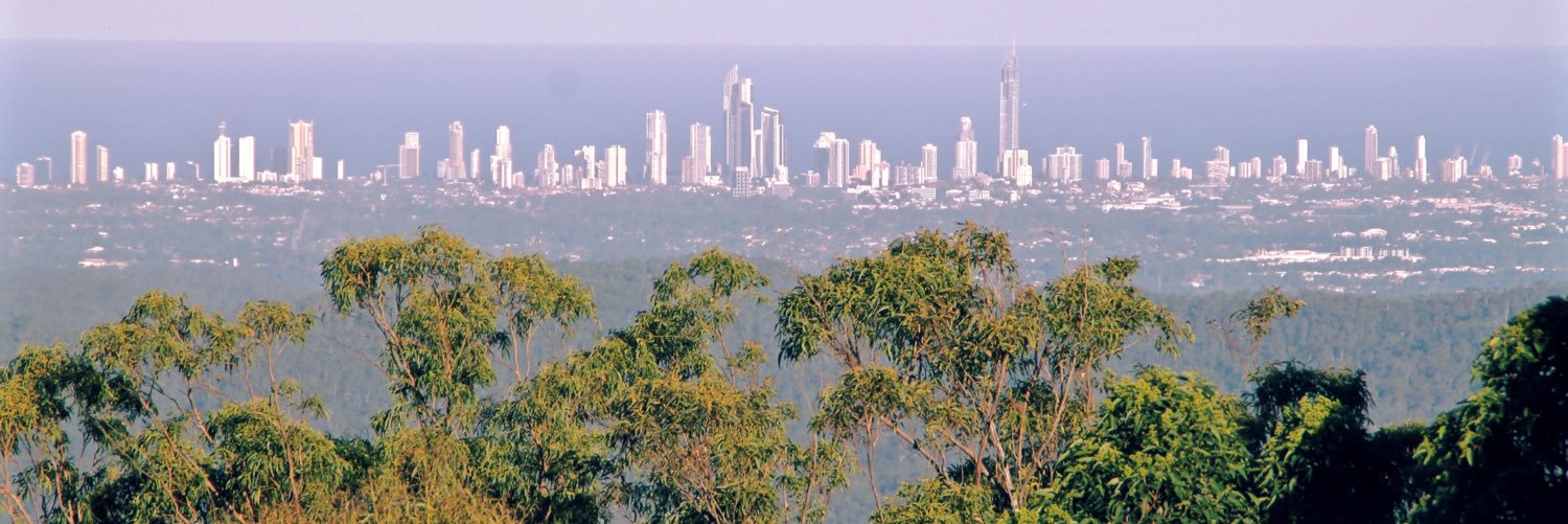 Terence licitra banner