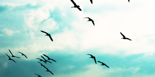 Mafer97tv's profile banner image