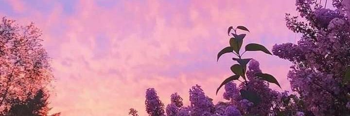 Karinastonee's profile banner image