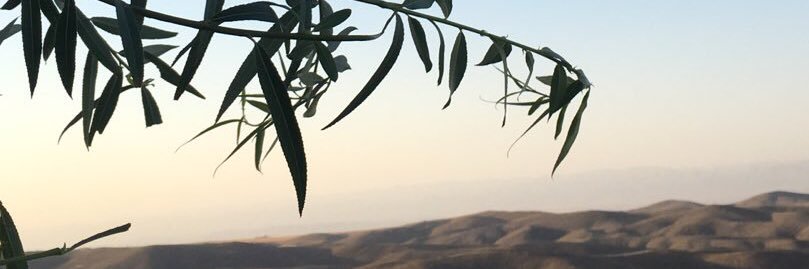 Raqooy06's profile banner image