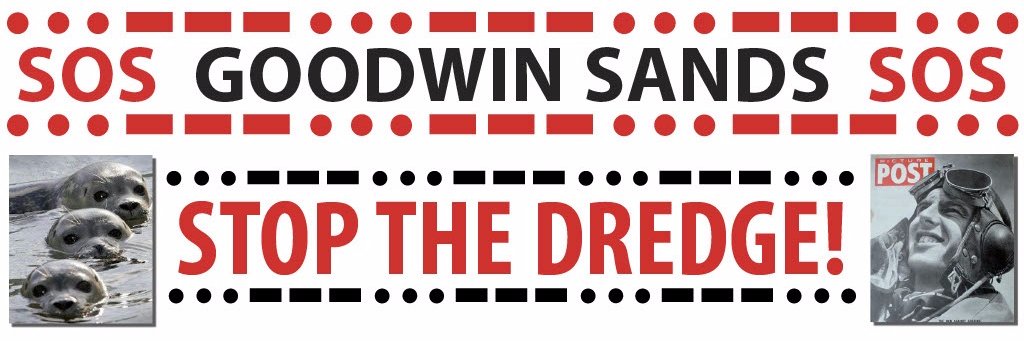 Save Our Sands banner