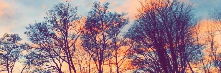timrogers2016's profile banner image
