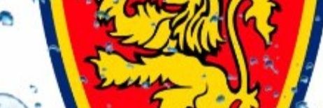 ElenaLape's profile banner image