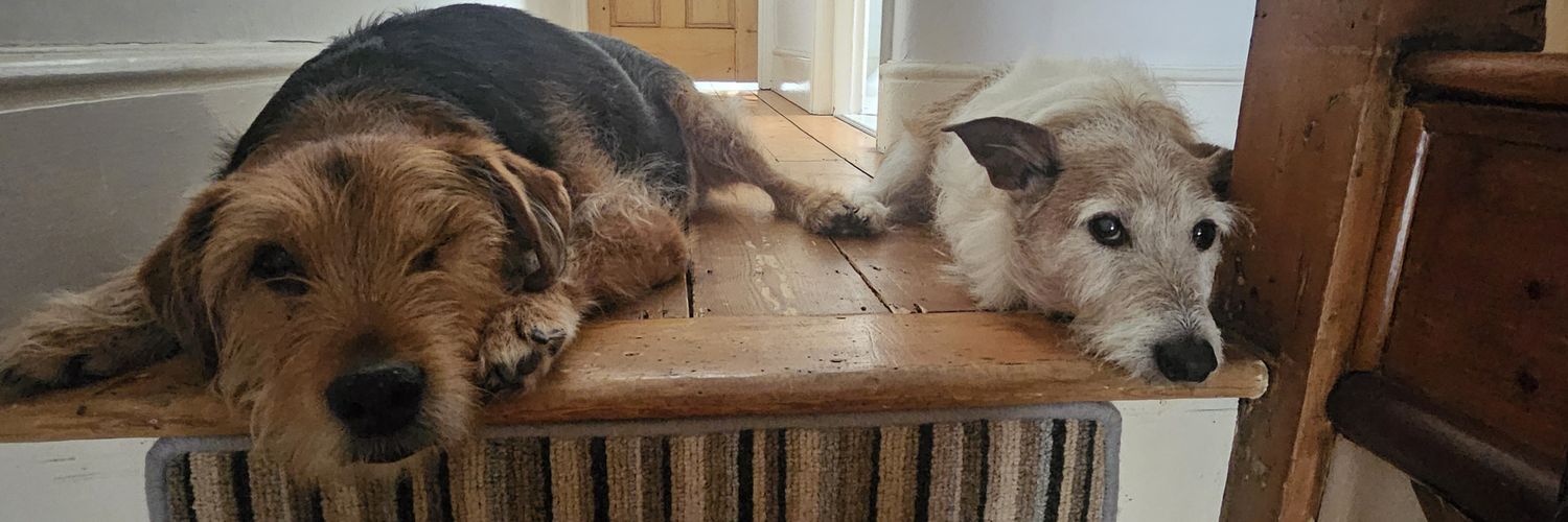 Milo The Dog banner
