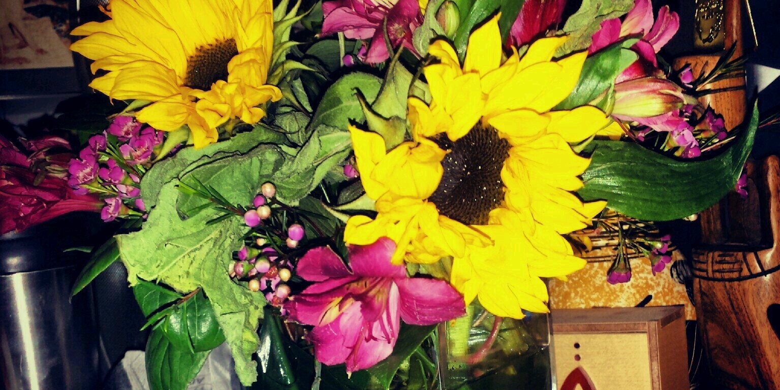 JenniferLynn2's profile banner image