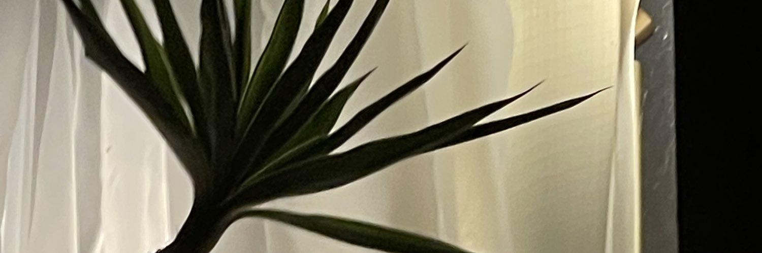 ezra_fallon's profile banner image