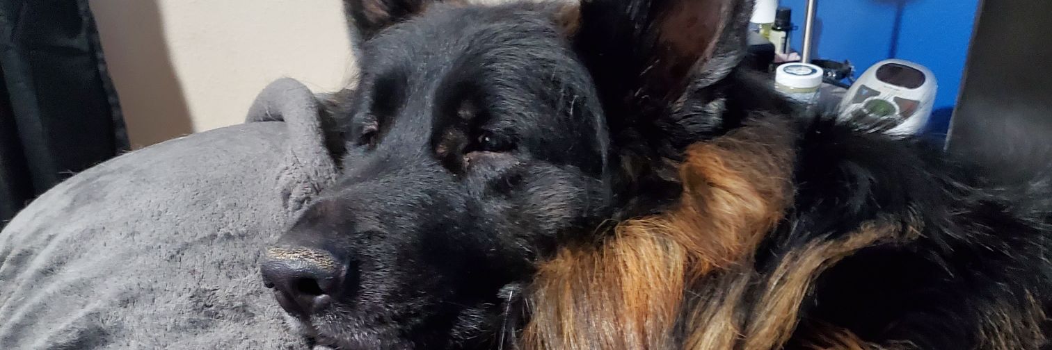 Erynn51's profile banner image