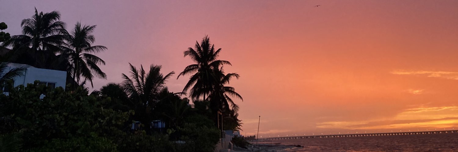 valeriaportill8's profile banner image