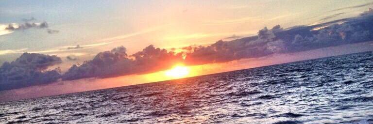 marinacveras's profile banner image