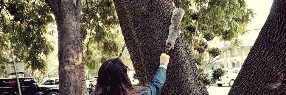 claudiasd22's profile banner image