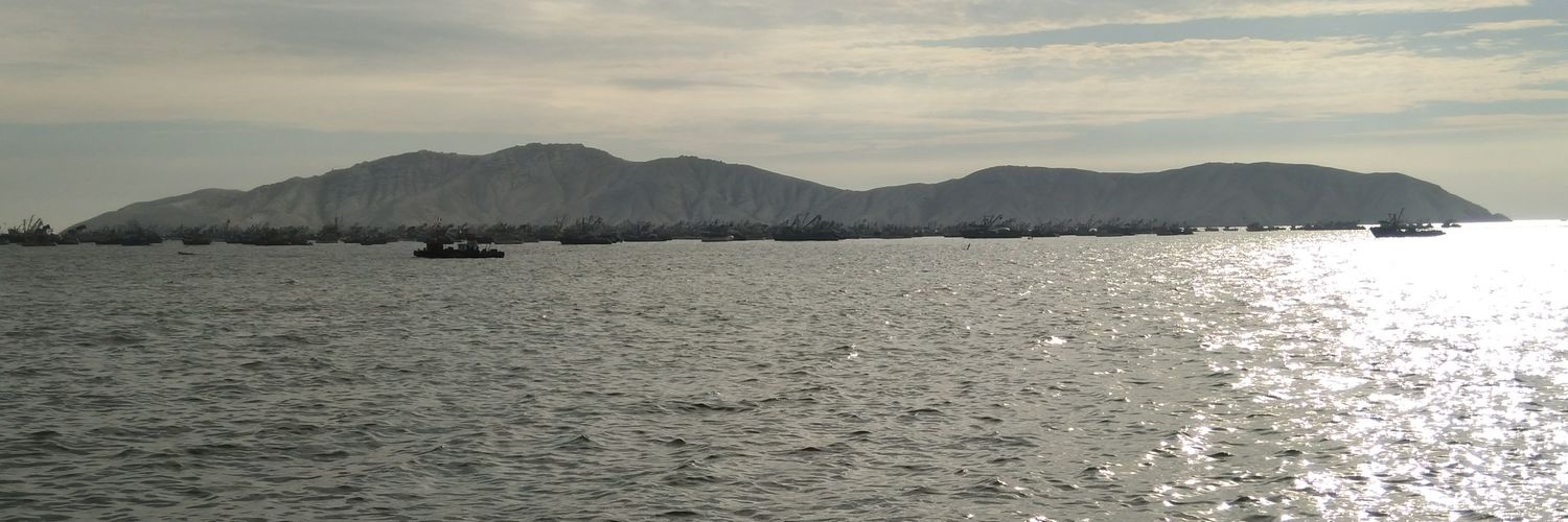 Daniel Maguiña banner