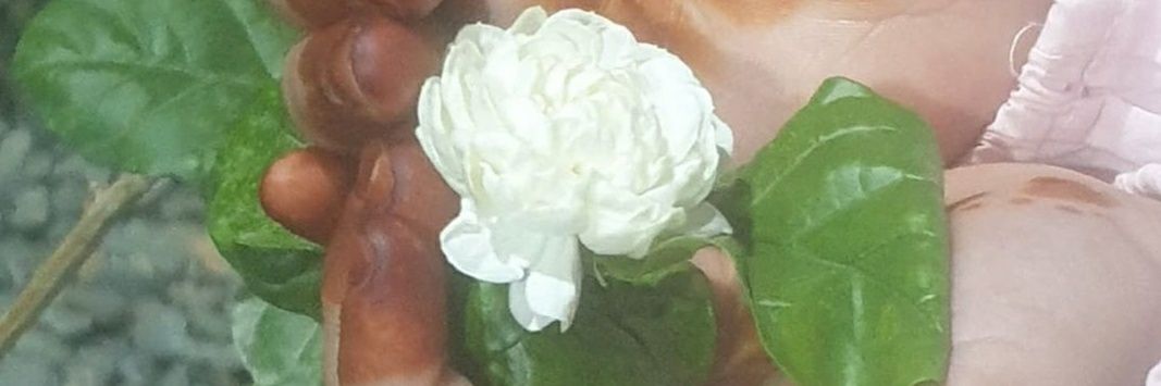 almabdy1410's profile banner image