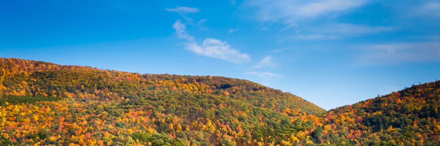 HarrisonCramer's profile banner image