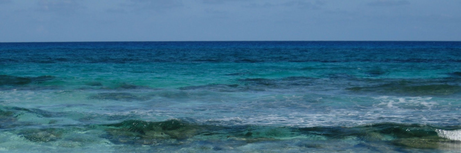 Frames In Faith banner