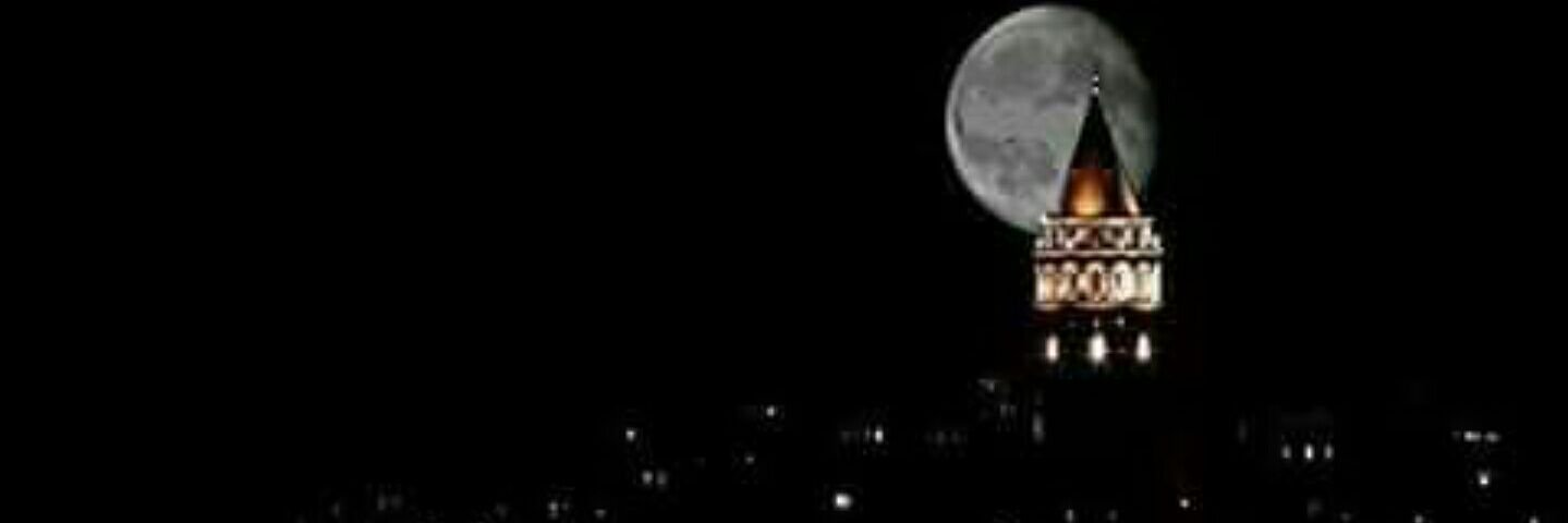 vlknkldv's profile banner image