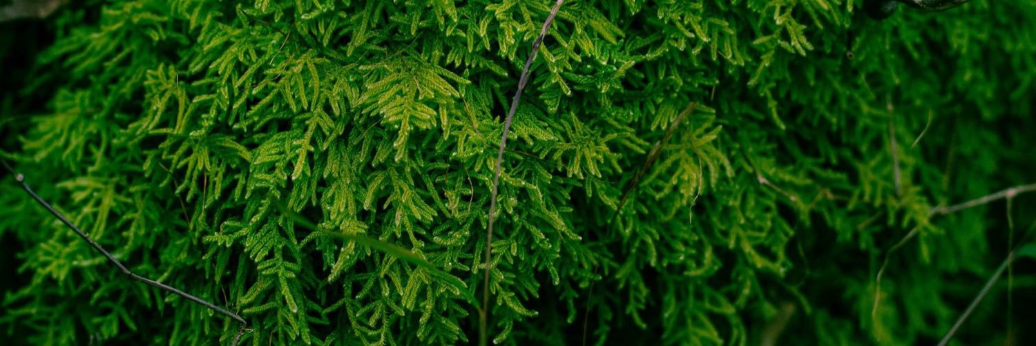 outofthearms's profile banner image