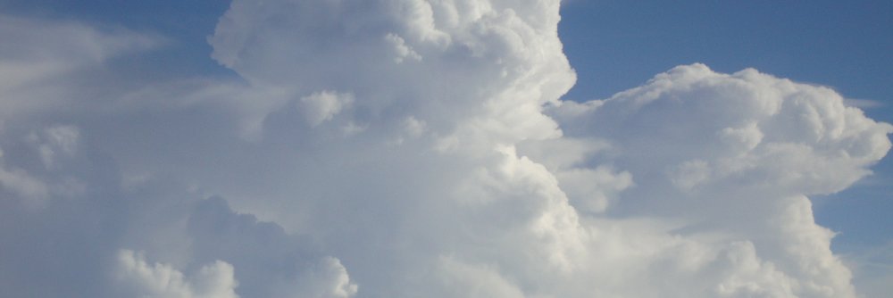 Madhavan Rajeevan banner