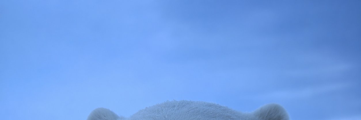 X0cv3's profile banner image