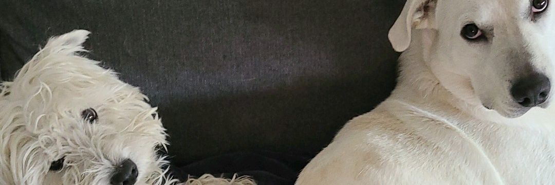 JenniferJenny18's profile banner image