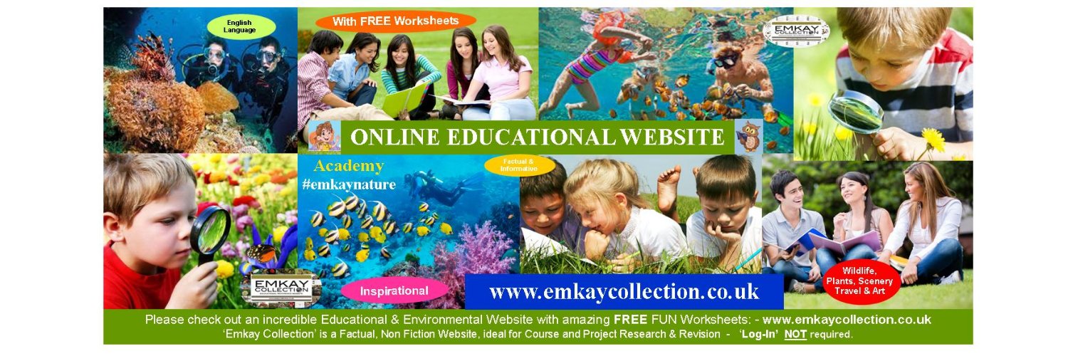 EMKCollection's profile banner image