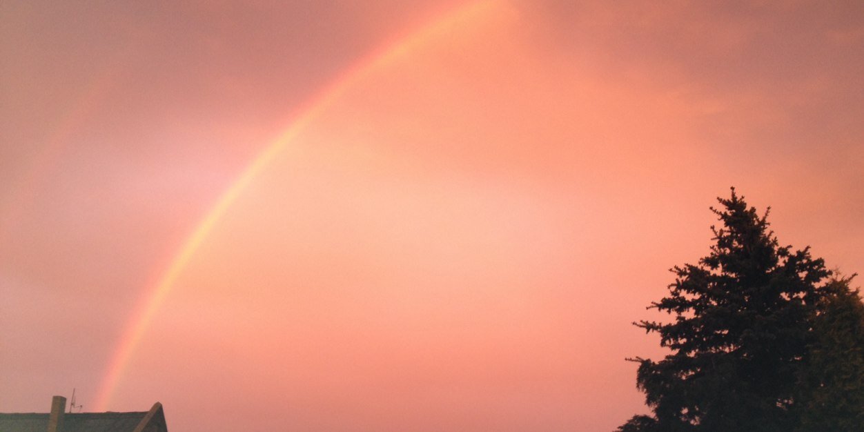 einfach_franzi's profile banner image